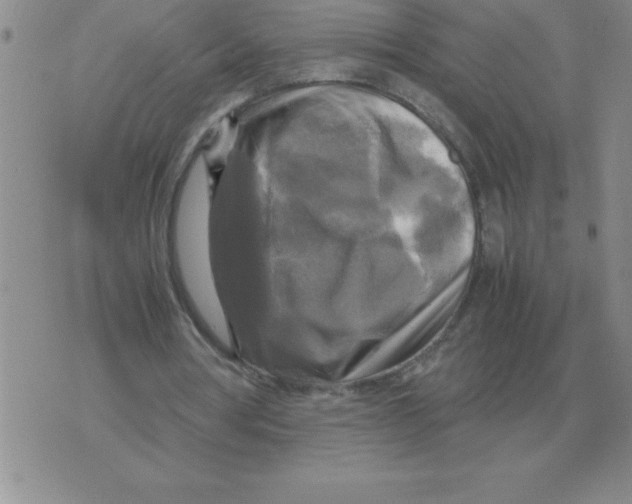 X0000071760386200607282153