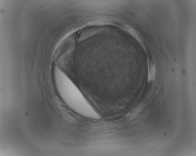 X0000071760387200607282153