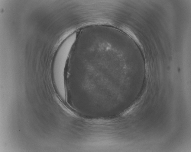 X0000071760389200607282153