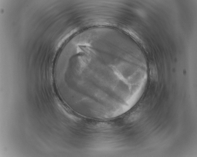 X0000071760390200607282153