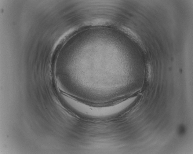 X0000071760392200607282153