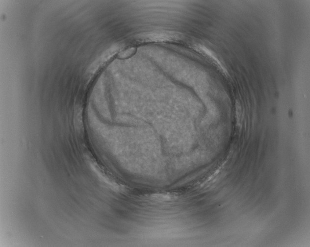 X0000071760394200607282153