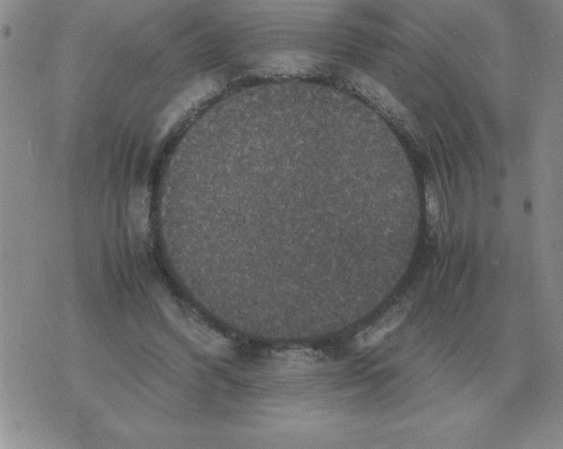 X0000071760396200607282153