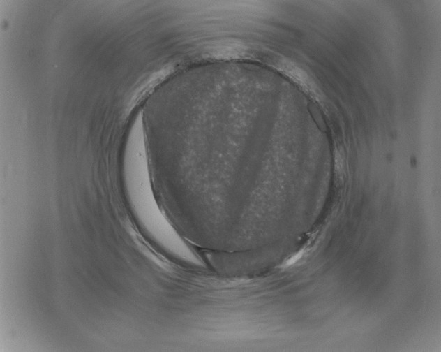 X0000071760397200607282153