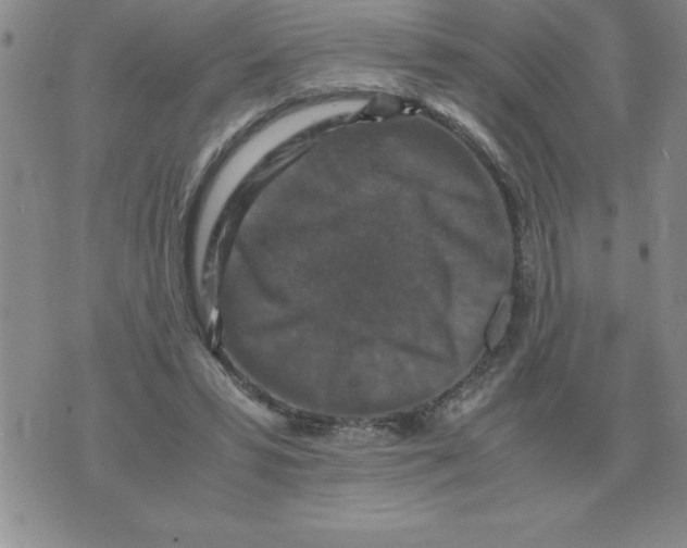 X0000071760399200607282153