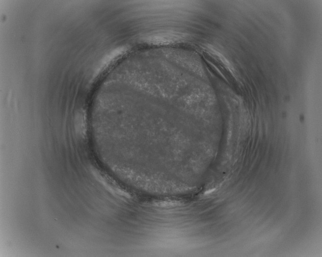 X0000071760400200607282153