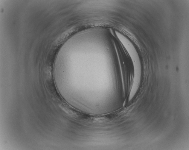 X0000071760401200607282153