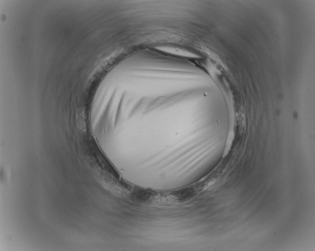 X0000071760403200607282153