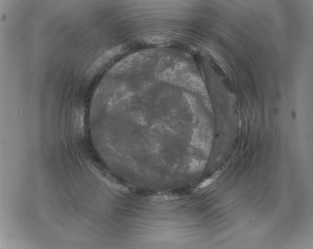 X0000071760404200607282153