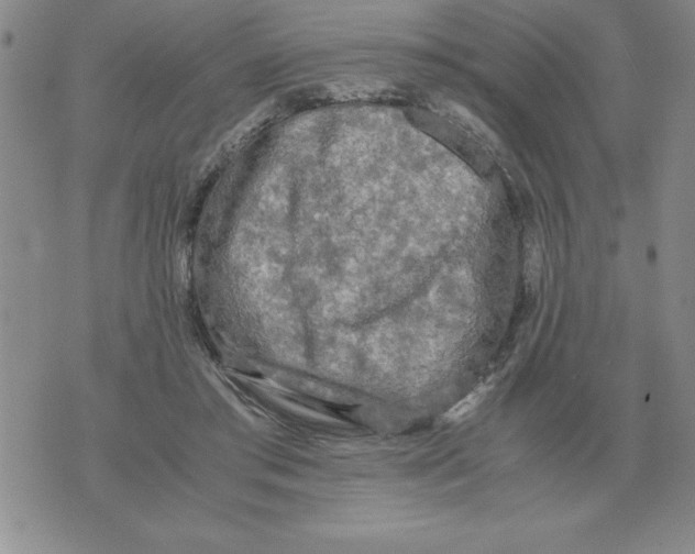 X0000071760405200607282153