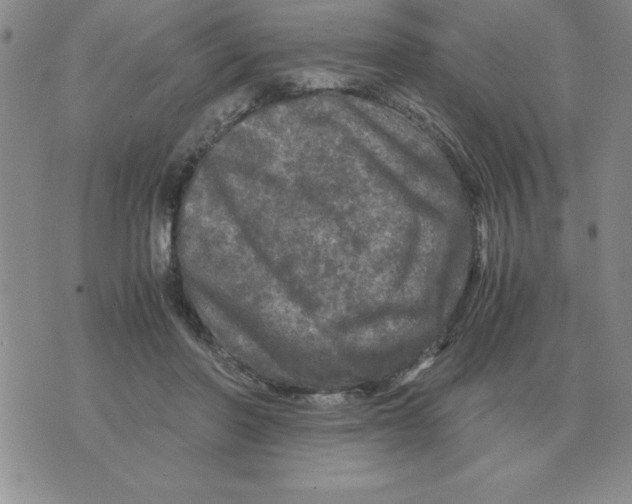 X0000071760406200607282153