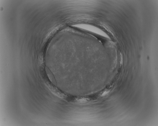 X0000071760407200607282153