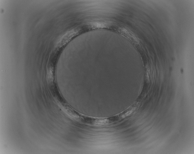 X0000071760410200607282153