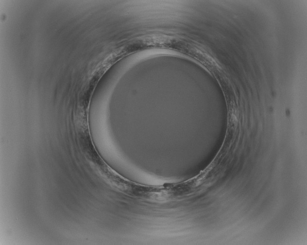 X0000071760411200607282153