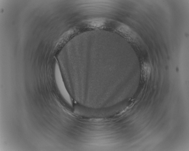 X0000071760412200607282153