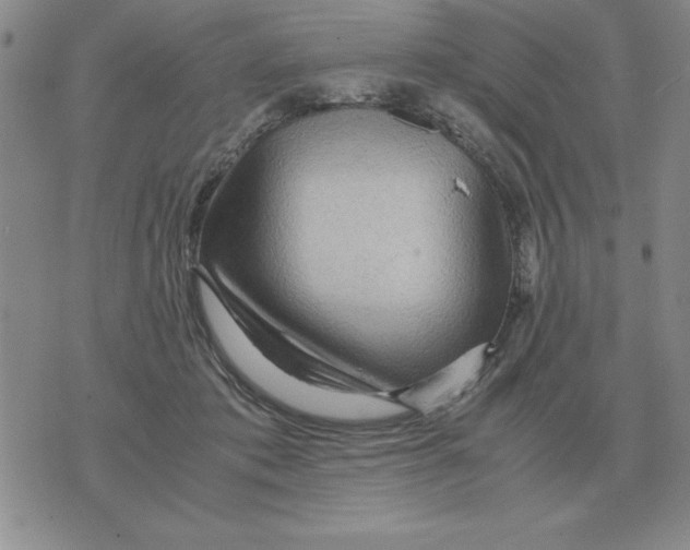 X0000071760413200607282152