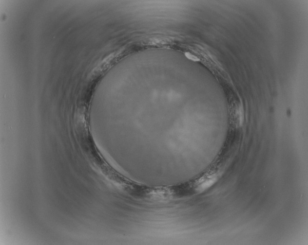 X0000071760415200607282152