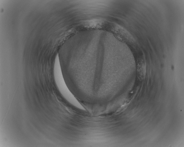 X0000071760416200607282152