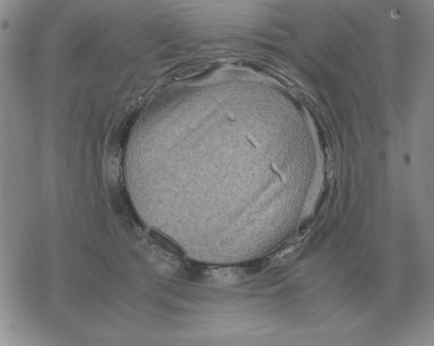 X0000071760417200607282152