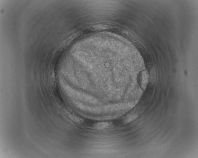 X0000071760418200607282152