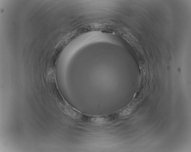 X0000071760419200607282152