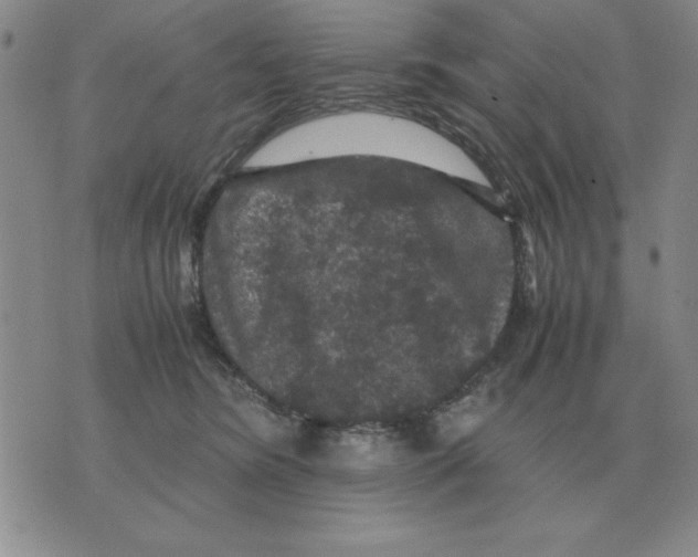 X0000071760420200607282152