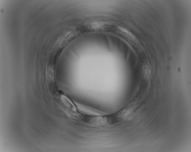 X0000071760421200607282152