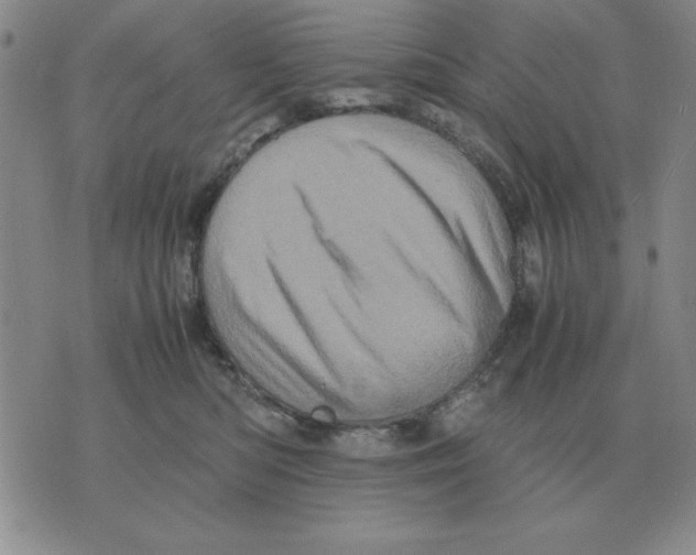 X0000071760422200607282152