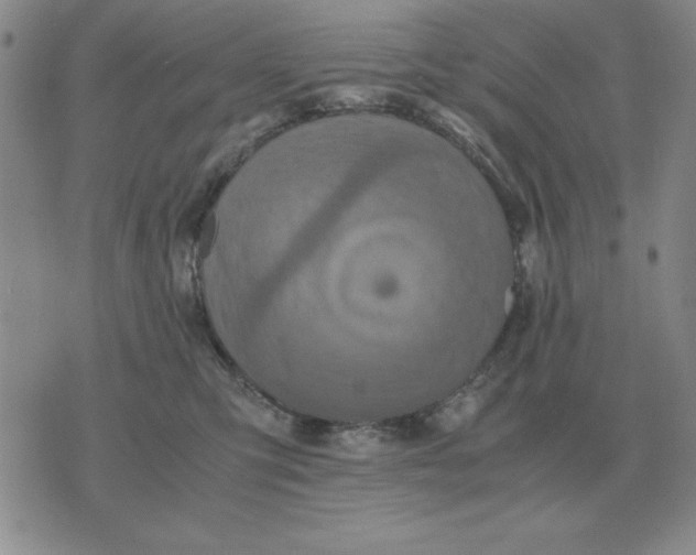 X0000071760423200607282152