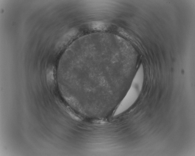 X0000071760424200607282152