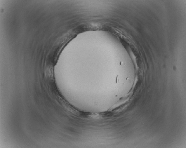 X0000071760425200607282152