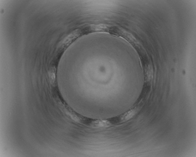 X0000071760427200607282152