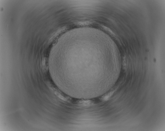 X0000071760428200607282152