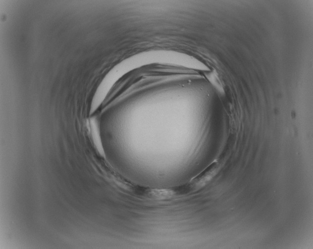 X0000071760429200607282152