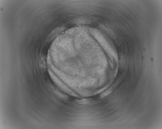 X0000071760430200607282152