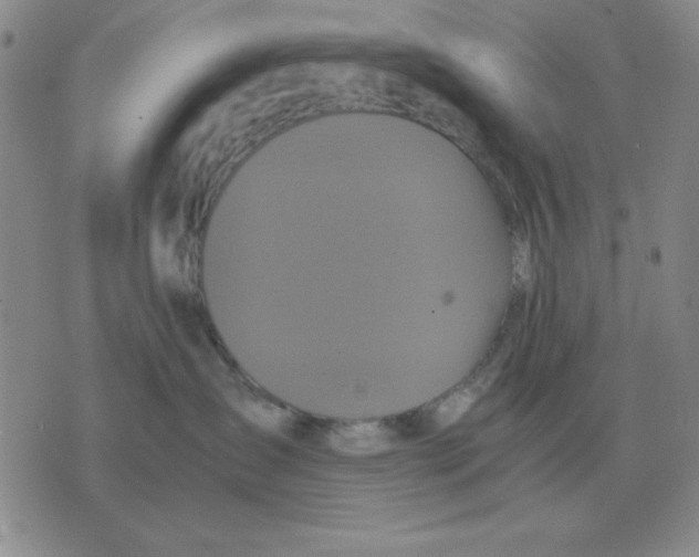 X0000071760431200607282152