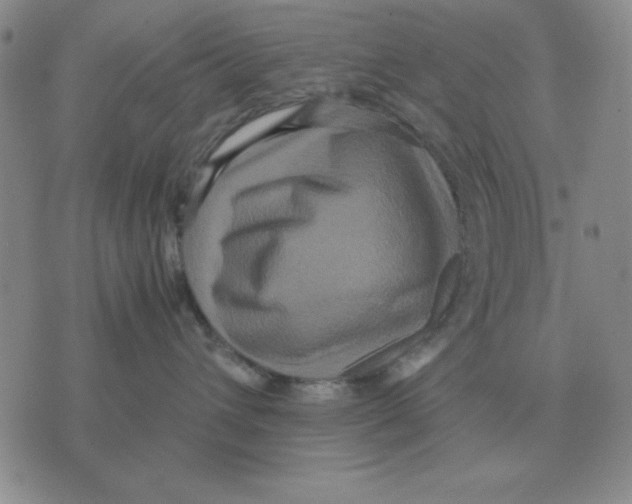 X0000071760432200607282152