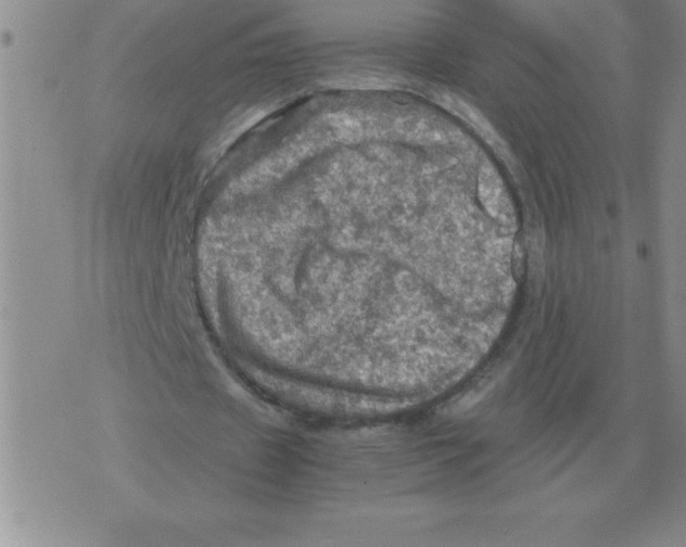 X0000071760433200607282151