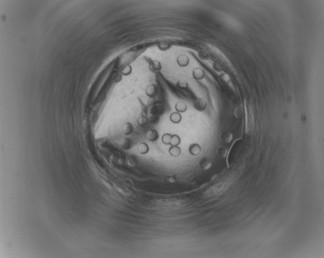 X0000071760435200607282151