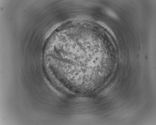 X0000071760437200607282151