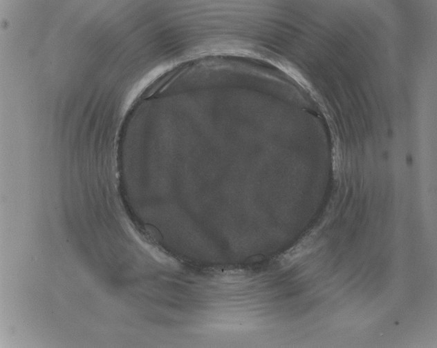 X0000071760438200607282151