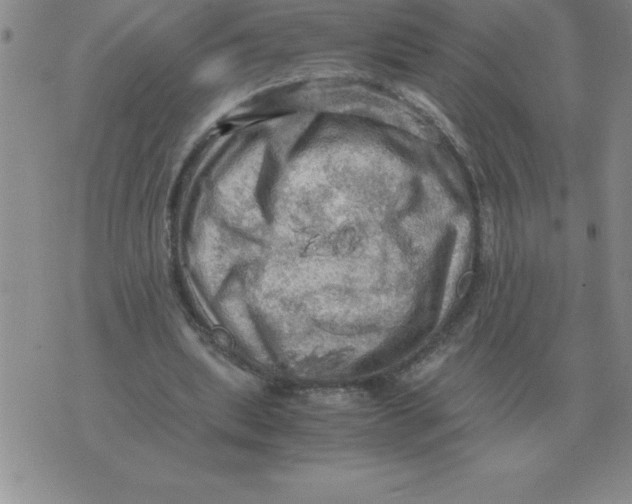 X0000071760439200607282152