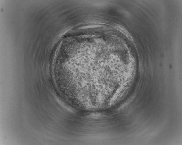 X0000071760441200607282152