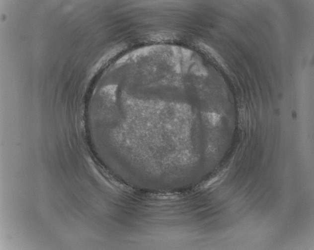 X0000071760443200607282152