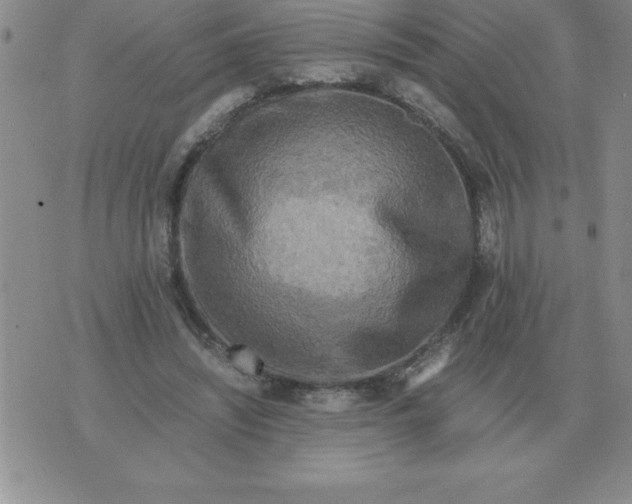 X0000071760444200607282152