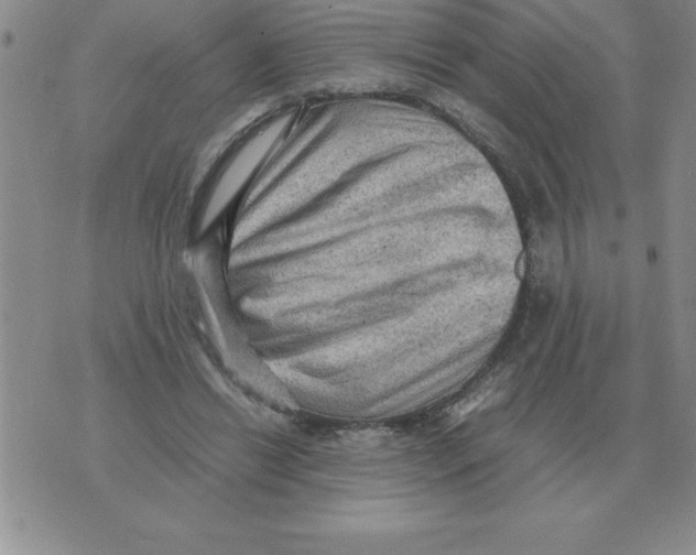 X0000071760446200607282152