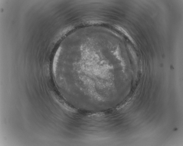 X0000071760447200607282152