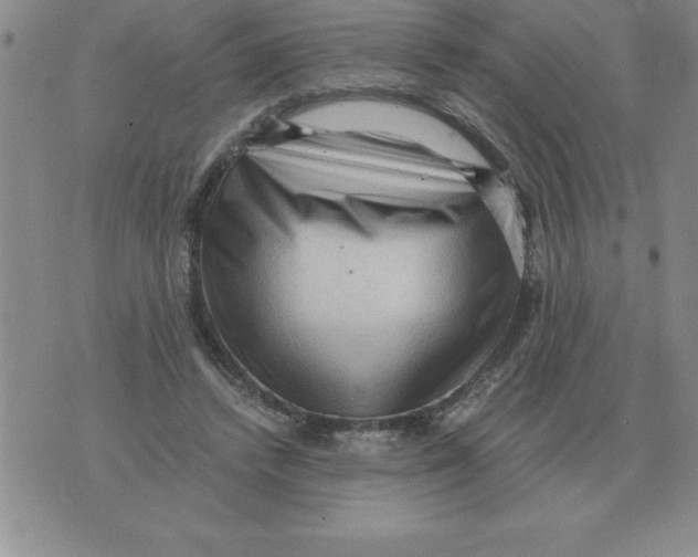 X0000071760448200607282152