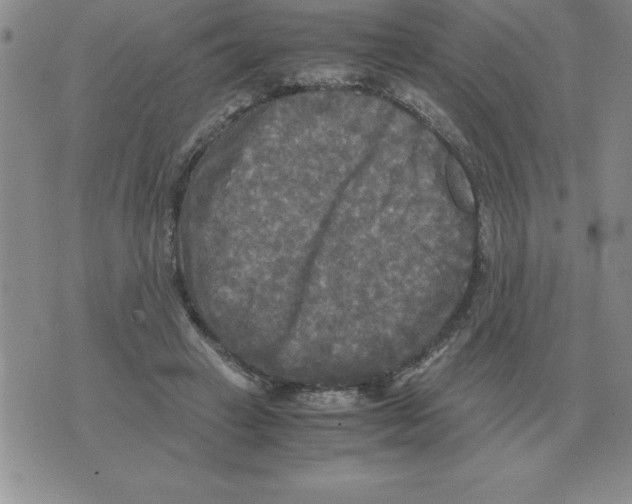 X0000071760449200607282152