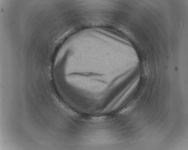 X0000071760450200607282152